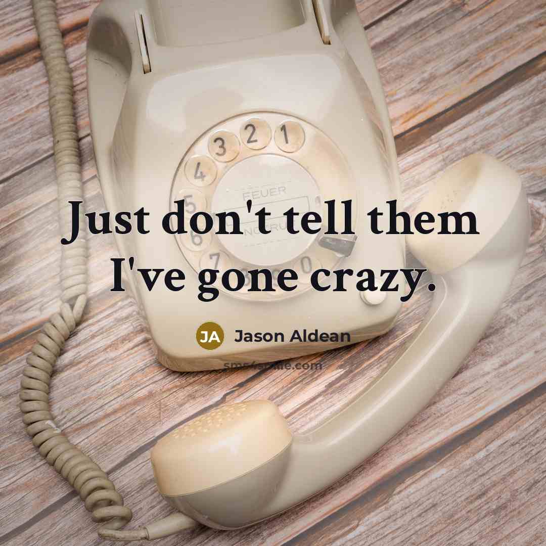 “Just don't tell them I've gone crazy.” quote by Jason Aldean