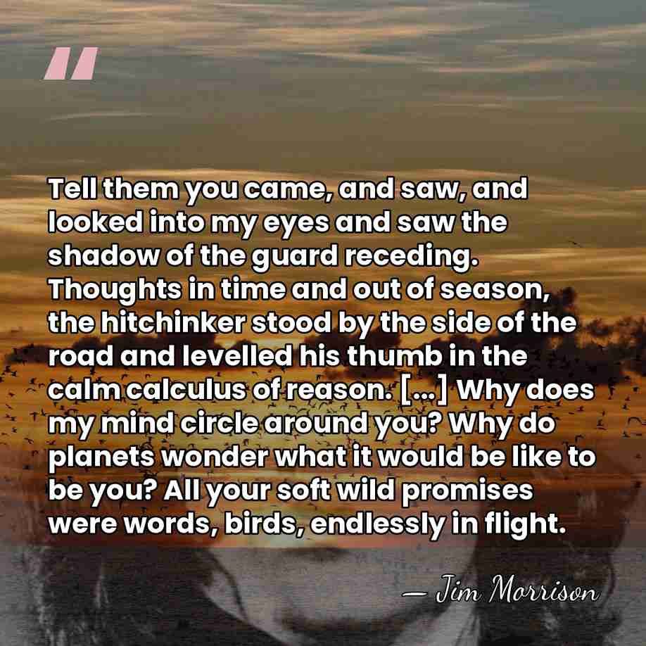 Tell them you came, and saw, and looked into my eyes and&hellip; - Jim Morrison