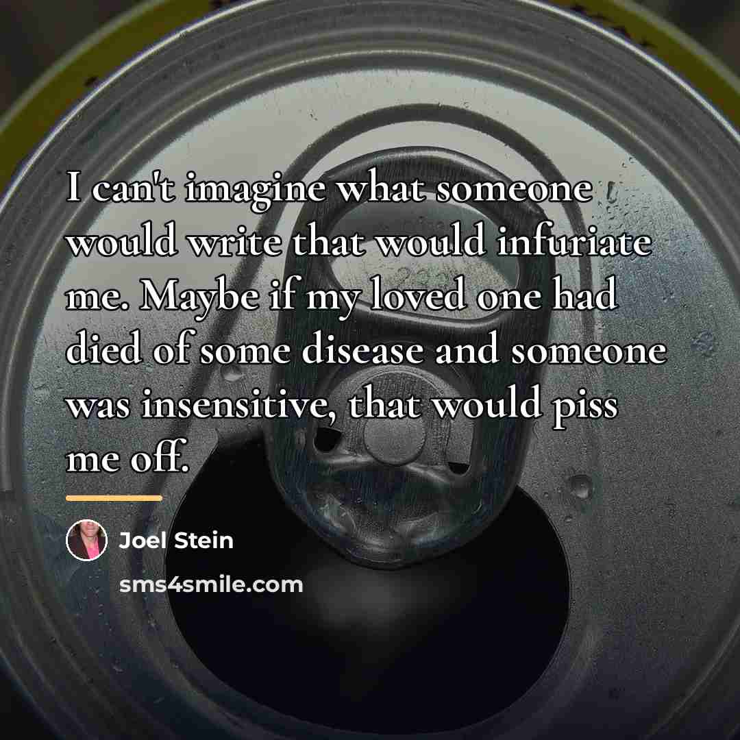 “I can't imagine what someone would write that would infuriate…” quote by Joel Stein