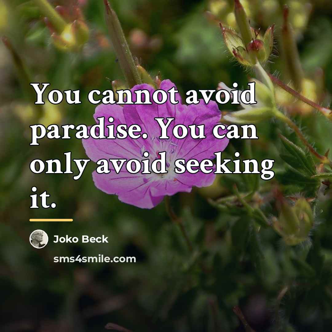 “You cannot avoid paradise. You can only avoid seeking it.…” quote by Joko Beck