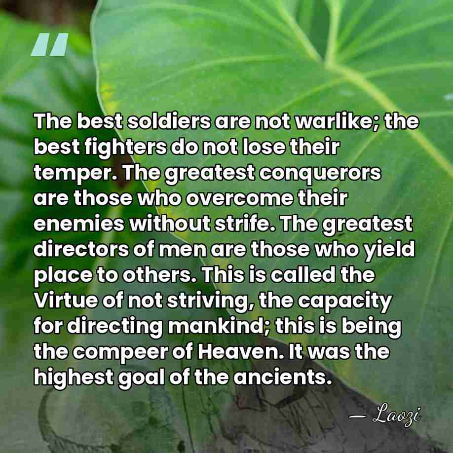 The best soldiers are not warlike; the best fighters do not lose&hellip; - Laozi