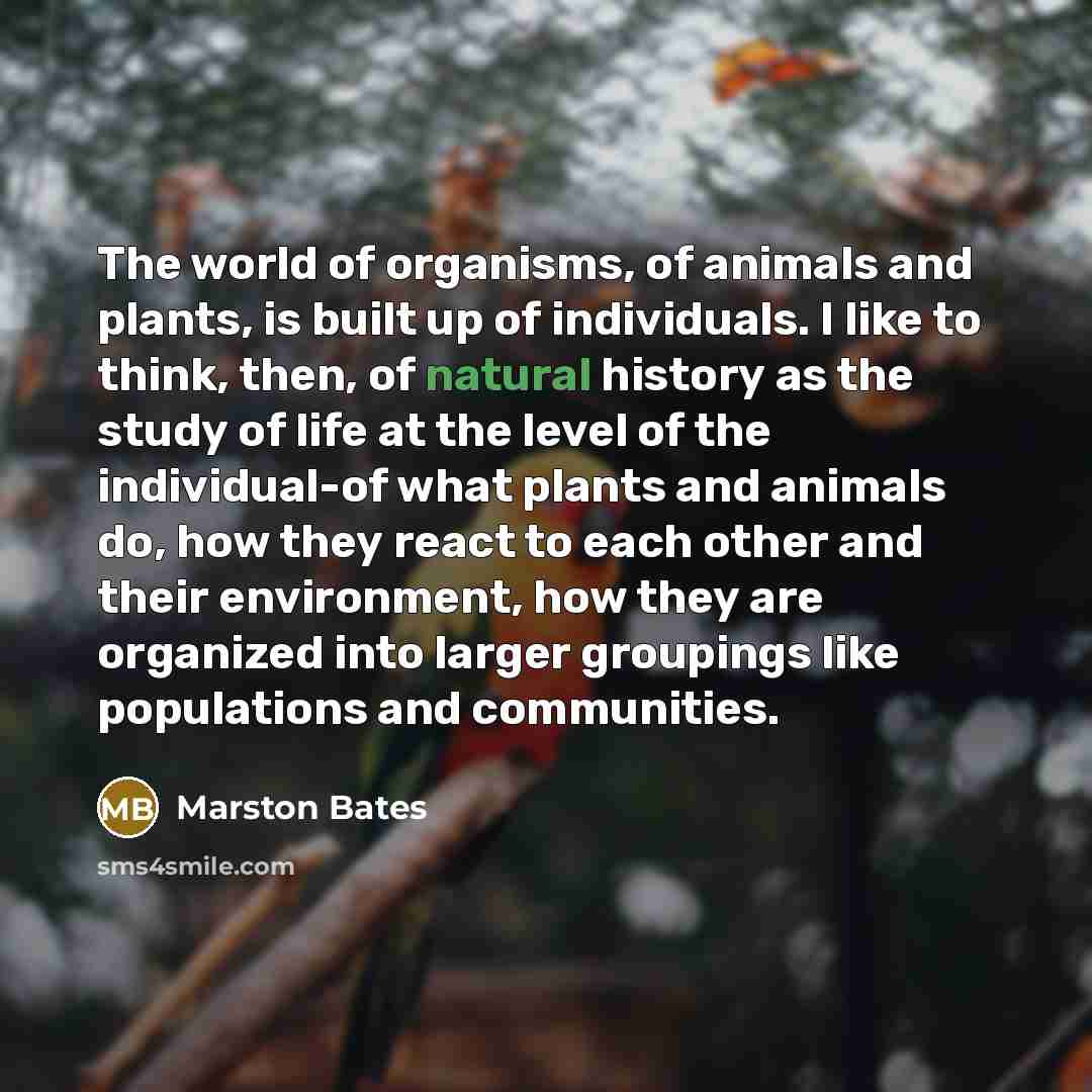 “The world of organisms, of animals and plants, is built…” quote by Marston Bates