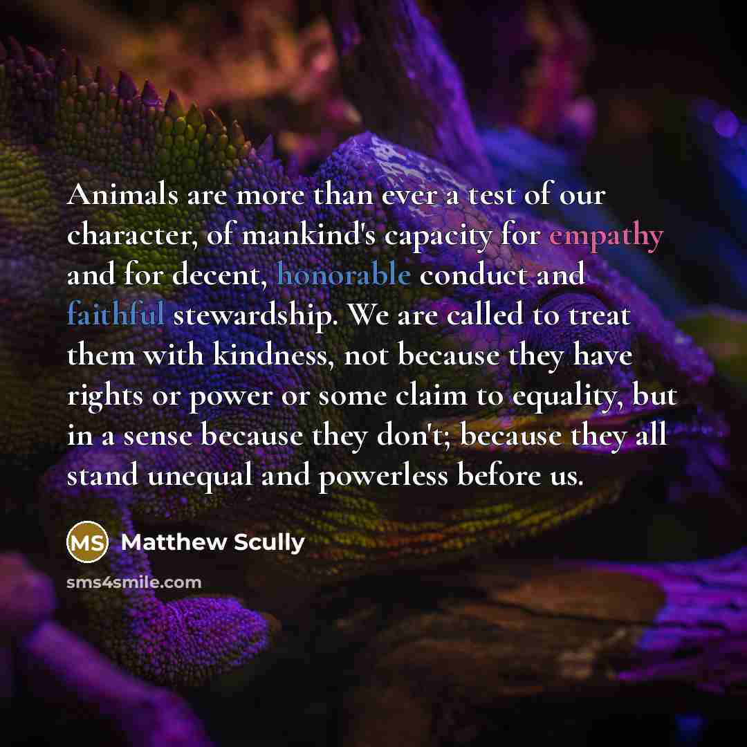 “Animals are more than ever a test of our character,…” quote by Matthew Scully