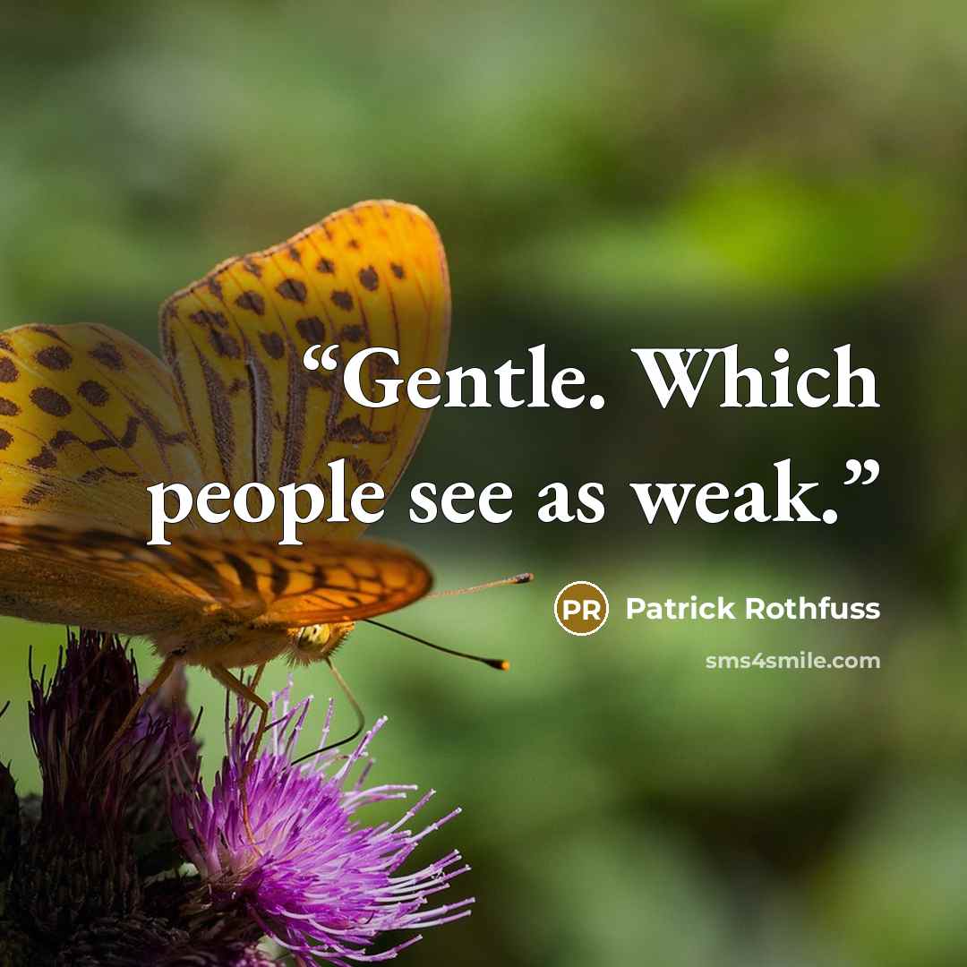 “Gentle. Which people see as weak.” quote by Patrick Rothfuss