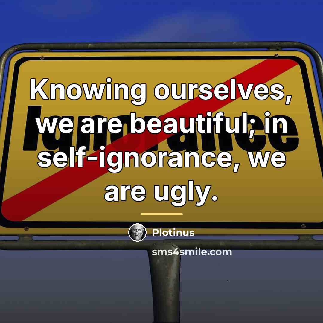 “Knowing ourselves, we are beautiful; in self-ignorance, we are ugly.…” quote by Plotinus