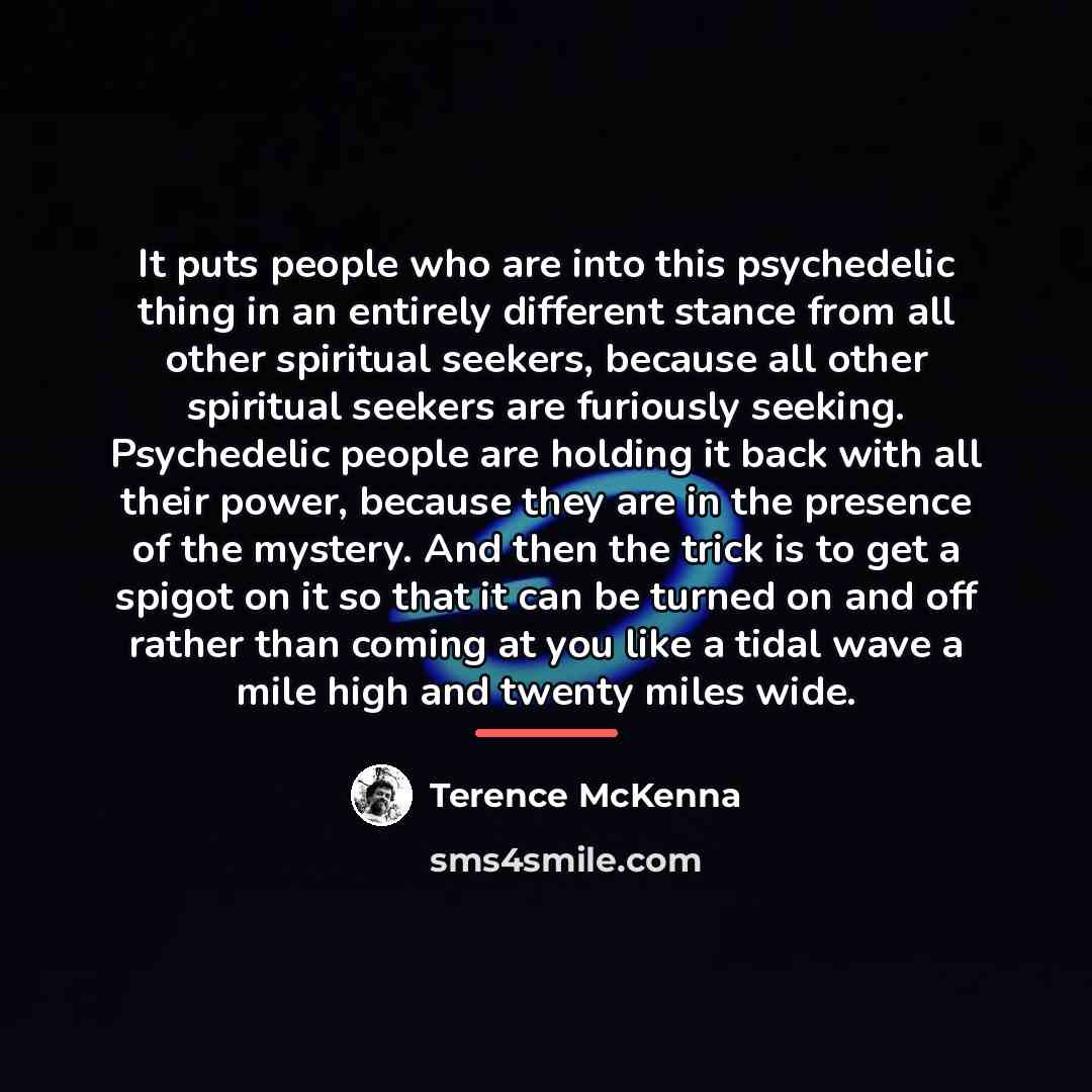 “It puts people who are into this psychedelic thing in…” quote by Terence McKenna