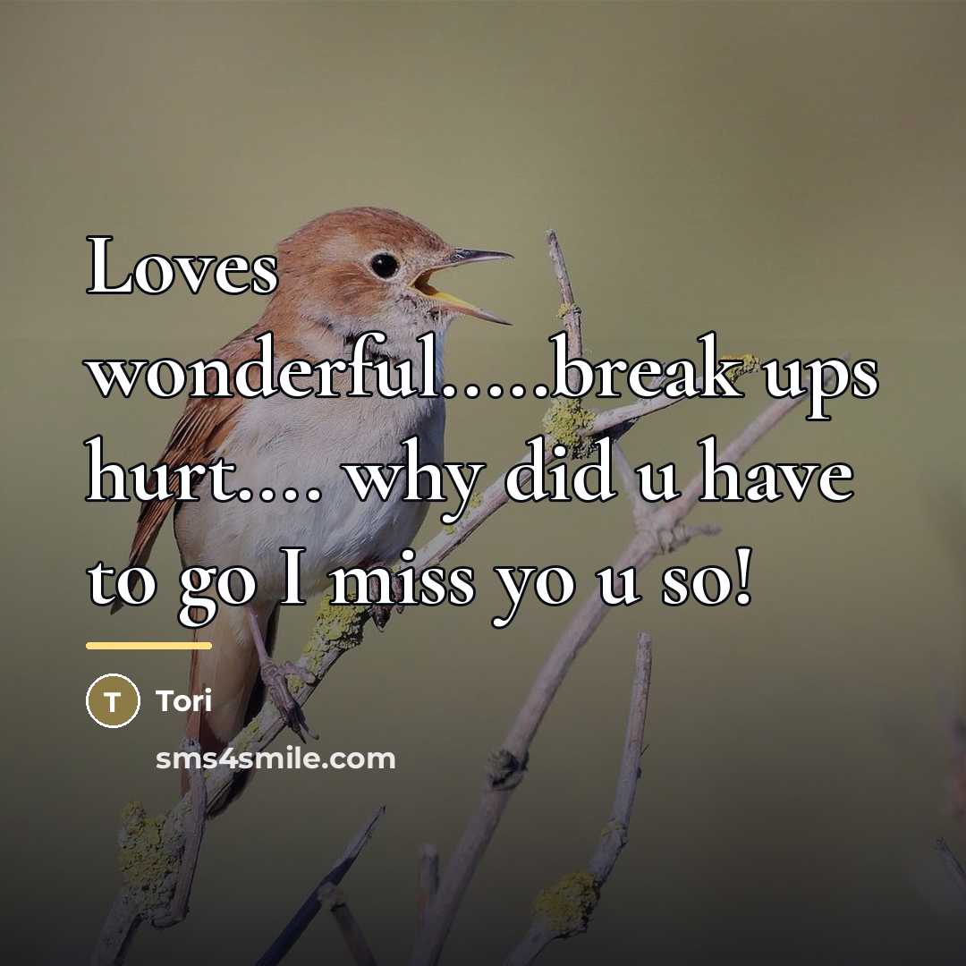 “Loves wonderful.....break ups hurt.... why did u have to go…” quote by Tori