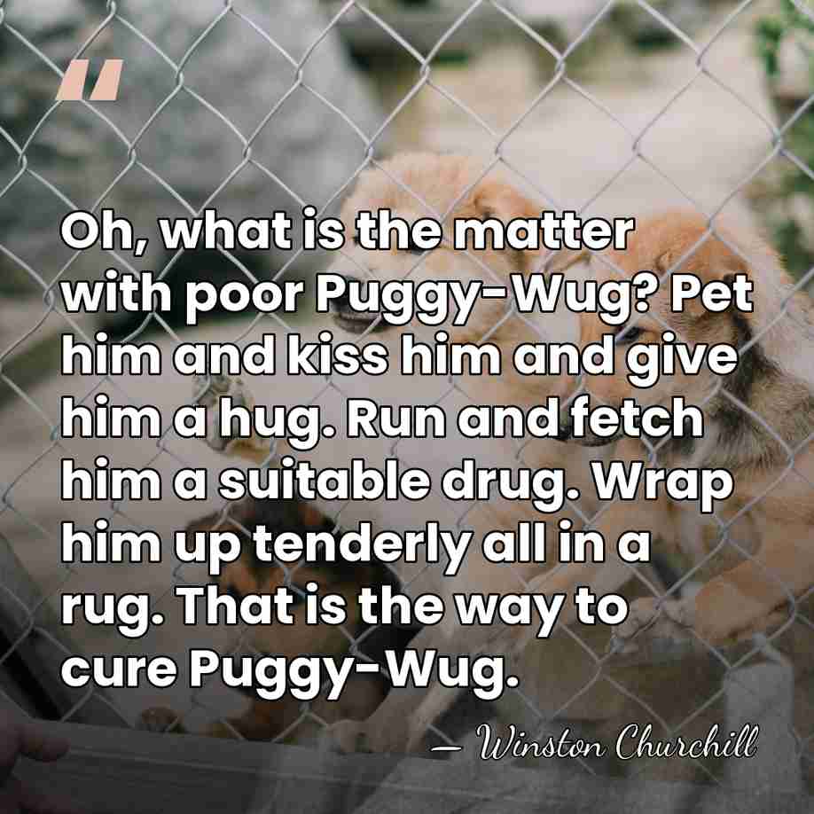 Oh, what is the matter with poor Puggy-Wug? Pet him and kiss&hellip; - Winston Churchill