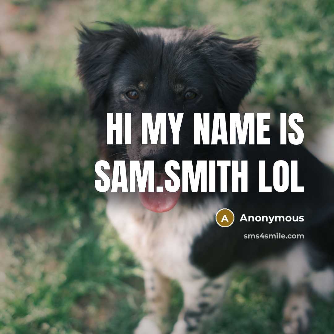 “Hi my name is sam.smith lol…” quote by Anonymous