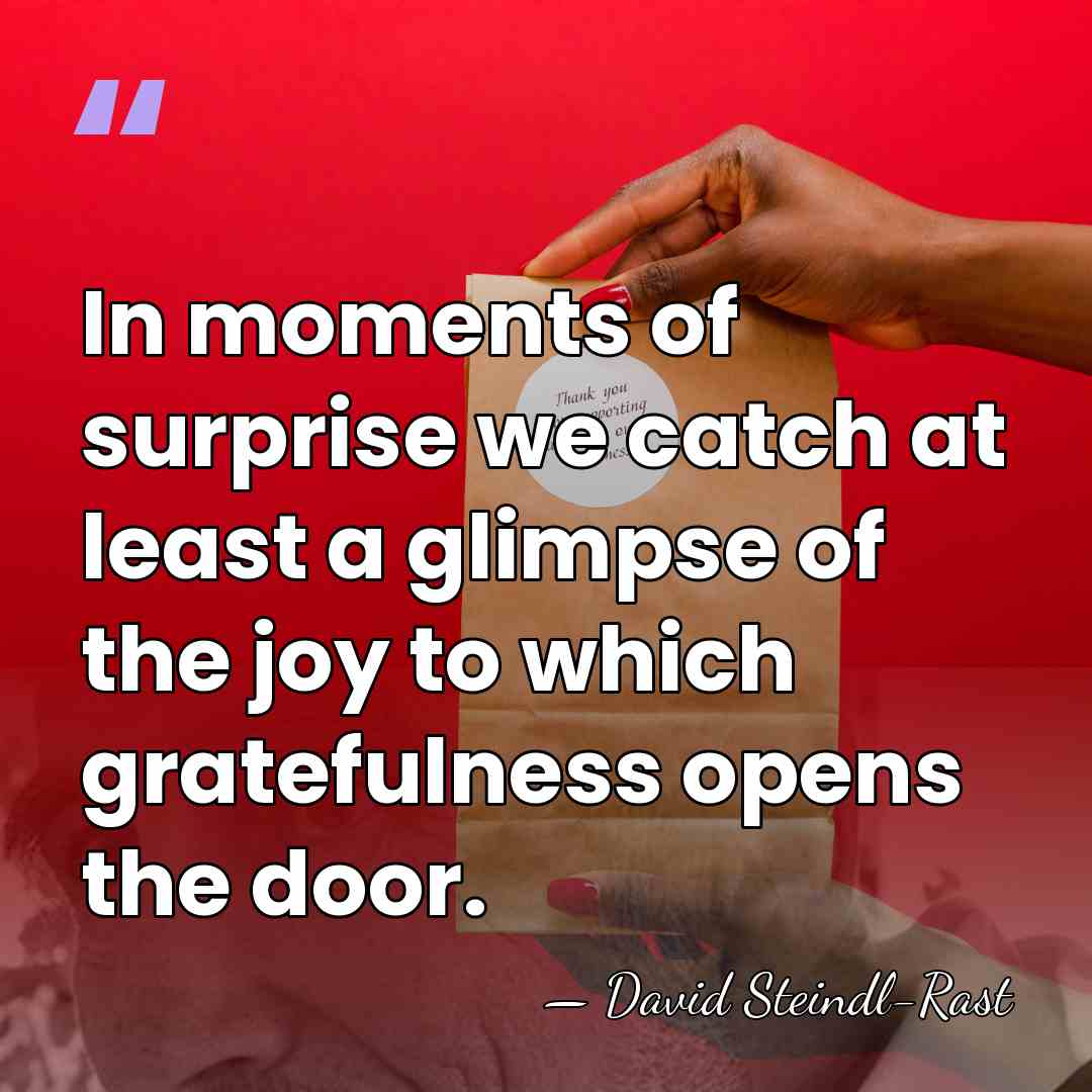 In moments of surprise we catch at least a glimpse of the&hellip; - David Steindl-Rast
