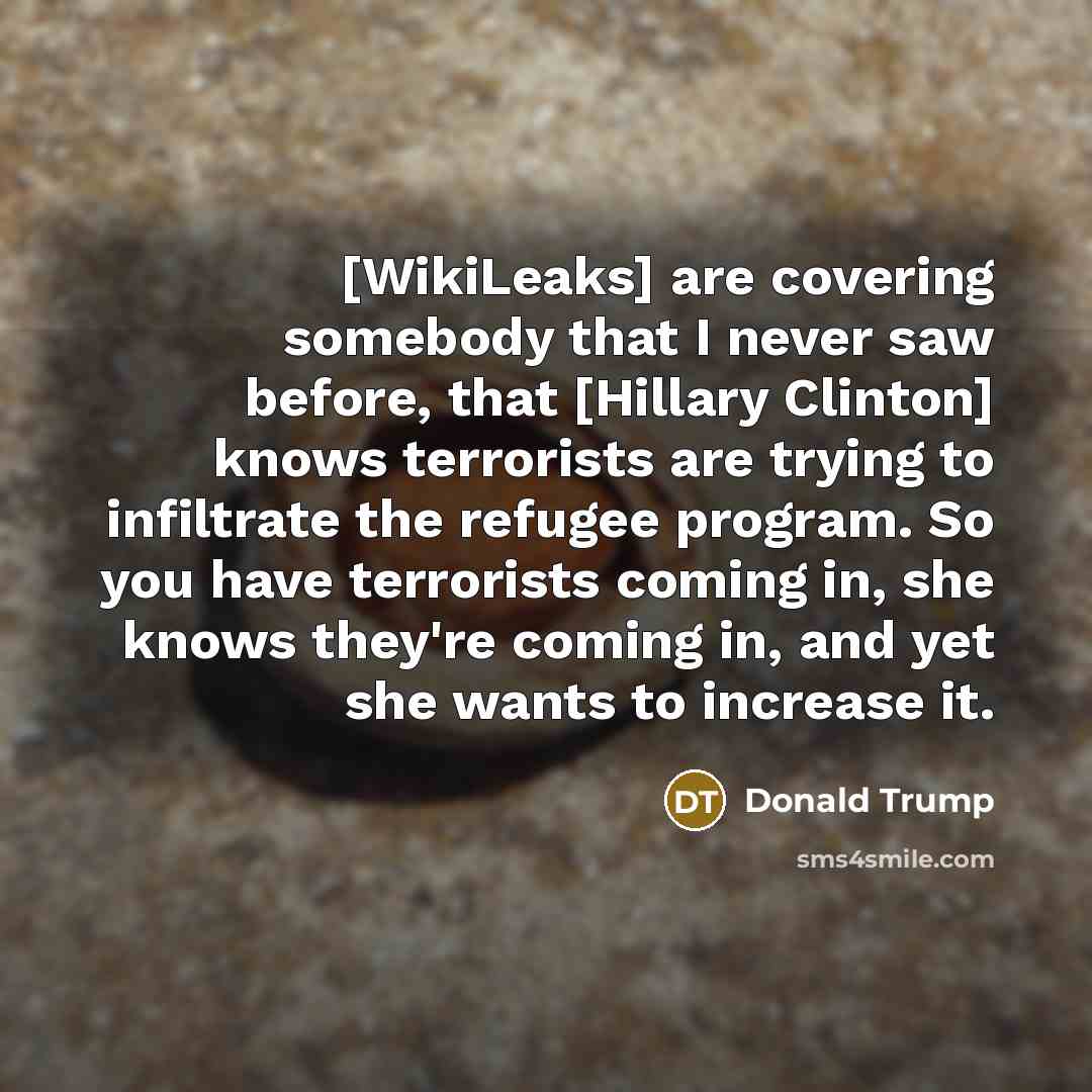 “[WikiLeaks] are covering somebody that I never saw before, that…” quote by Donald Trump