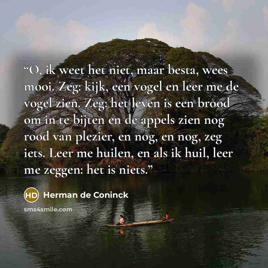 “O, ik weet het niet, maar besta, wees mooi. Zeg: kijk, een vogel en leer me de vogel zien. Zeg: het leven is een brood om in te bijten en de appels zien nog rood van plezier, en nog, en nog, zeg iets. Leer me huilen, en als ik huil, leer me zeggen: het is niets.” quote by Herman de Coninck