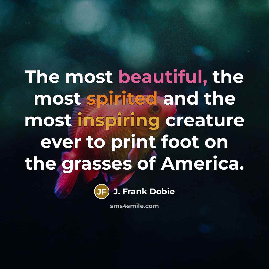 “The most beautiful, the most spirited and the most inspiring…” quote by J. Frank Dobie