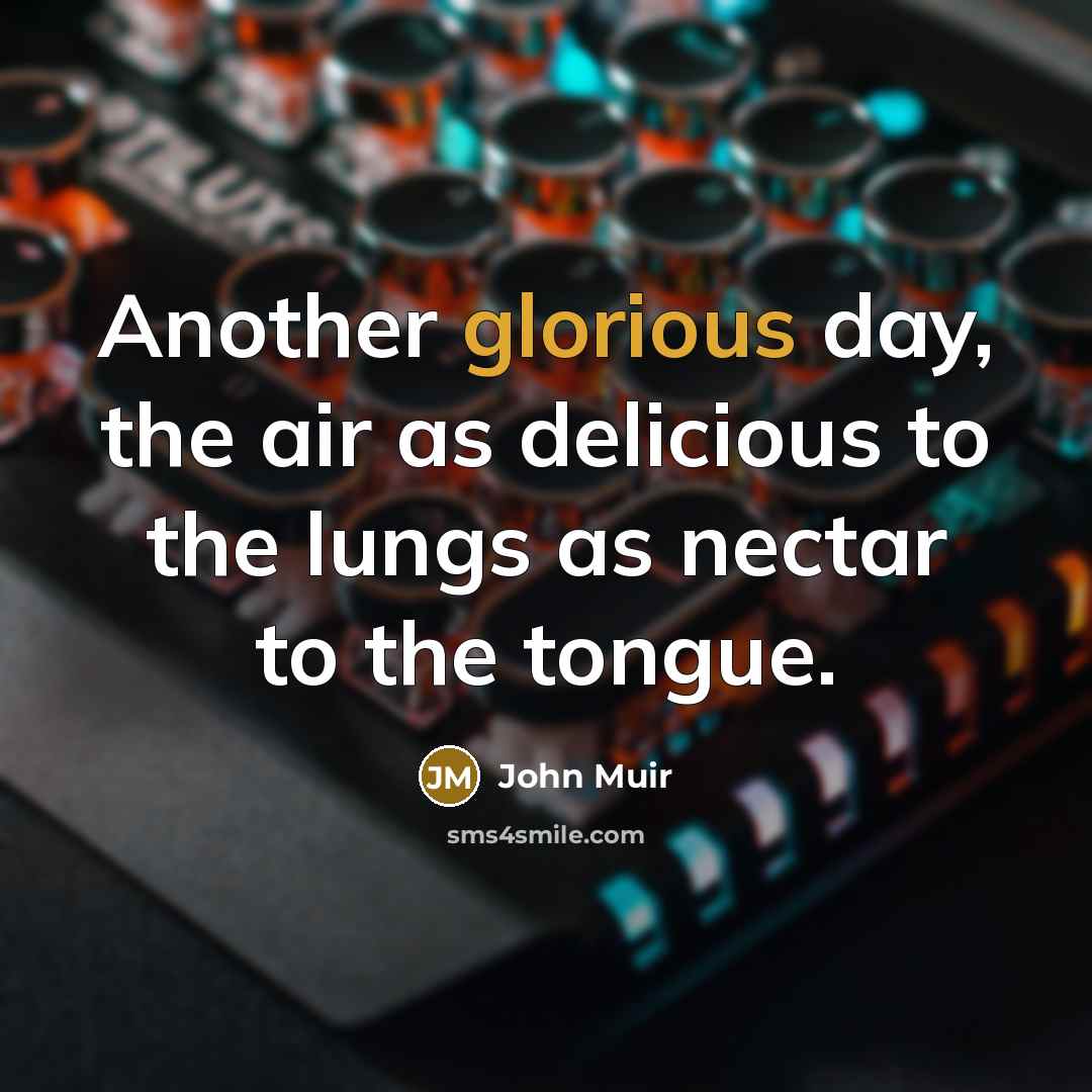 “Another glorious day, the air as delicious to the lungs…” quote by John Muir