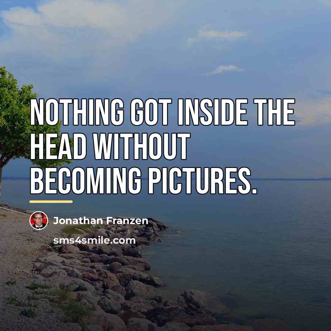 “Nothing got inside the head without becoming pictures.…” quote by Jonathan Franzen