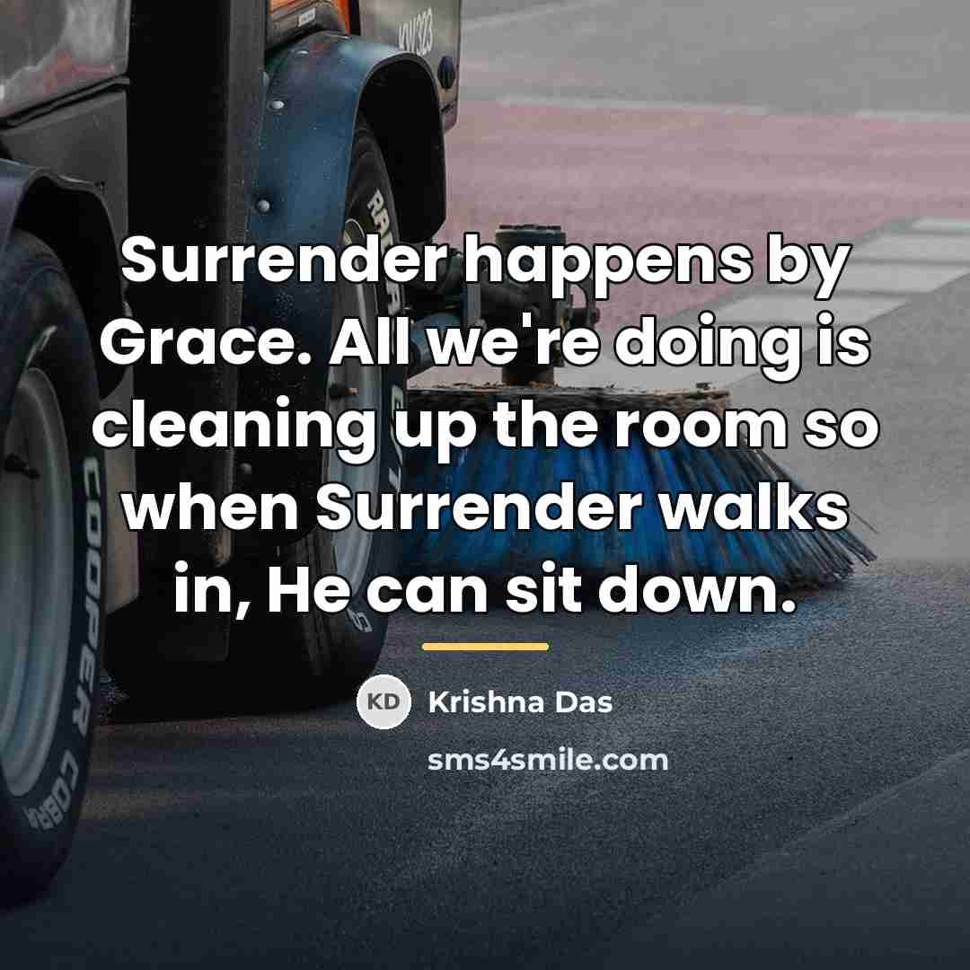“Surrender happens by Grace. All we're doing is cleaning up…” quote by Krishna Das
