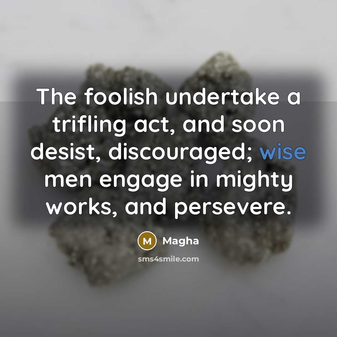 “The foolish undertake a trifling act, and soon desist, discouraged;…” quote by Magha