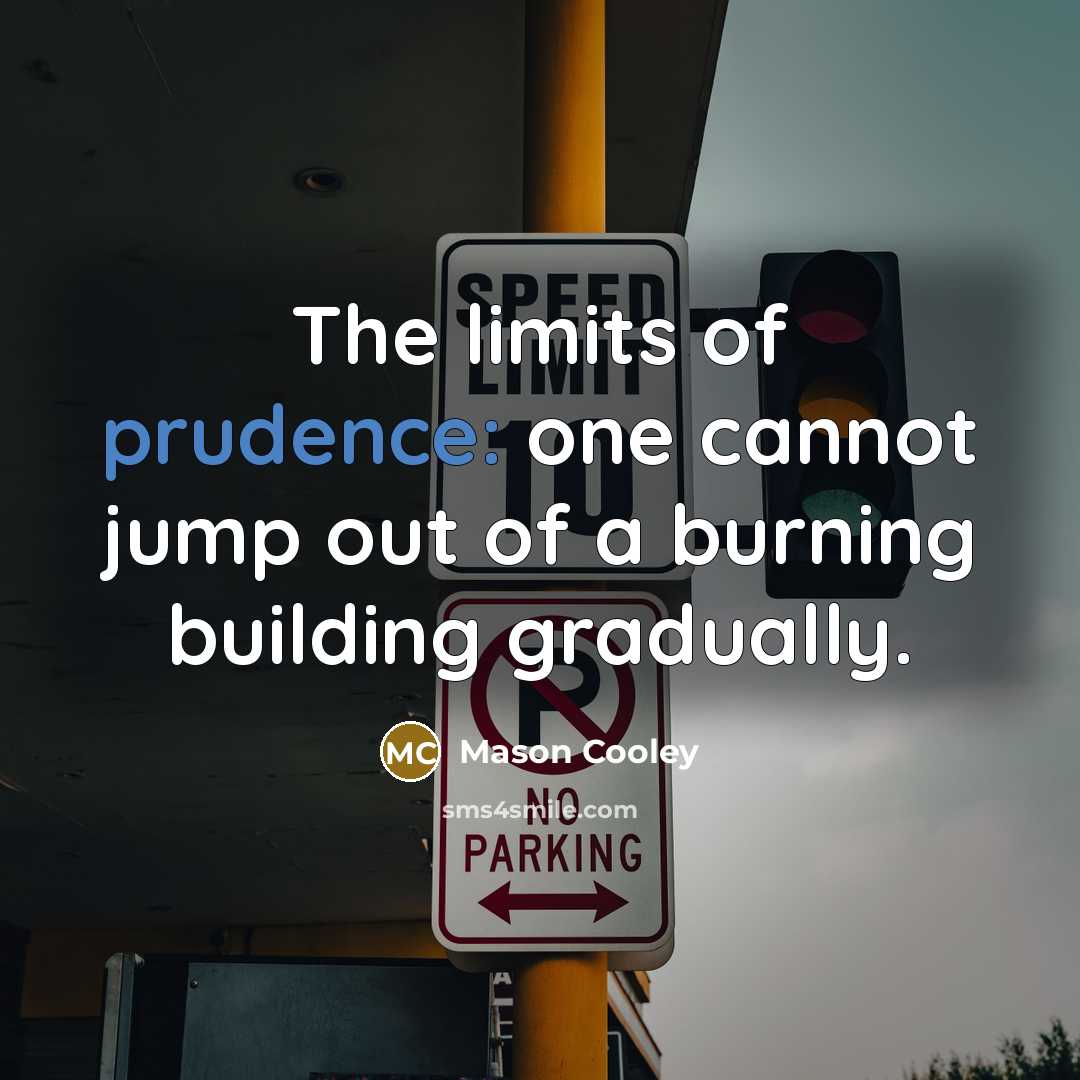 “The limits of prudence: one cannot jump out of a…” quote by Mason Cooley