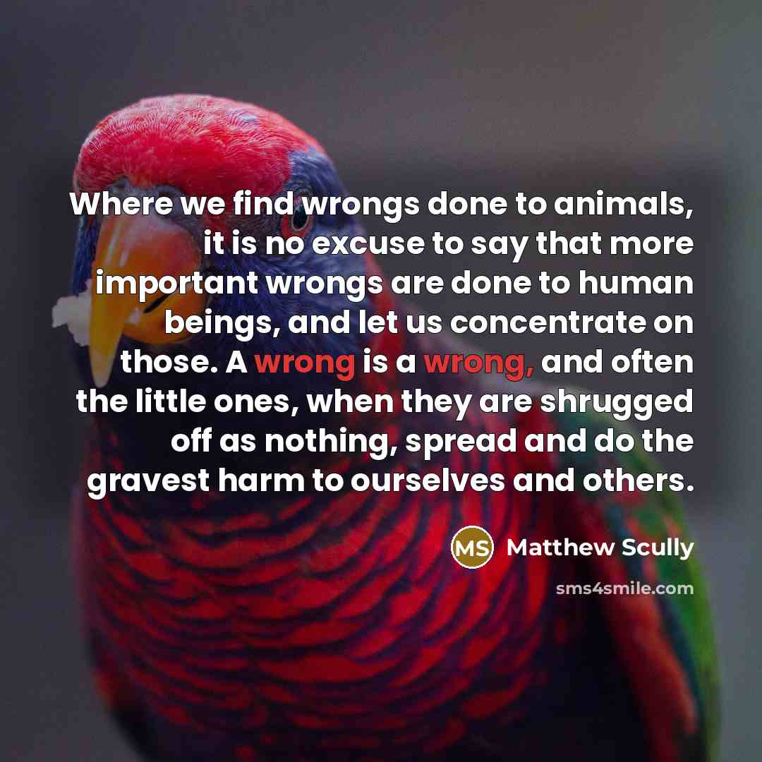 “Where we find wrongs done to animals, it is no…” quote by Matthew Scully