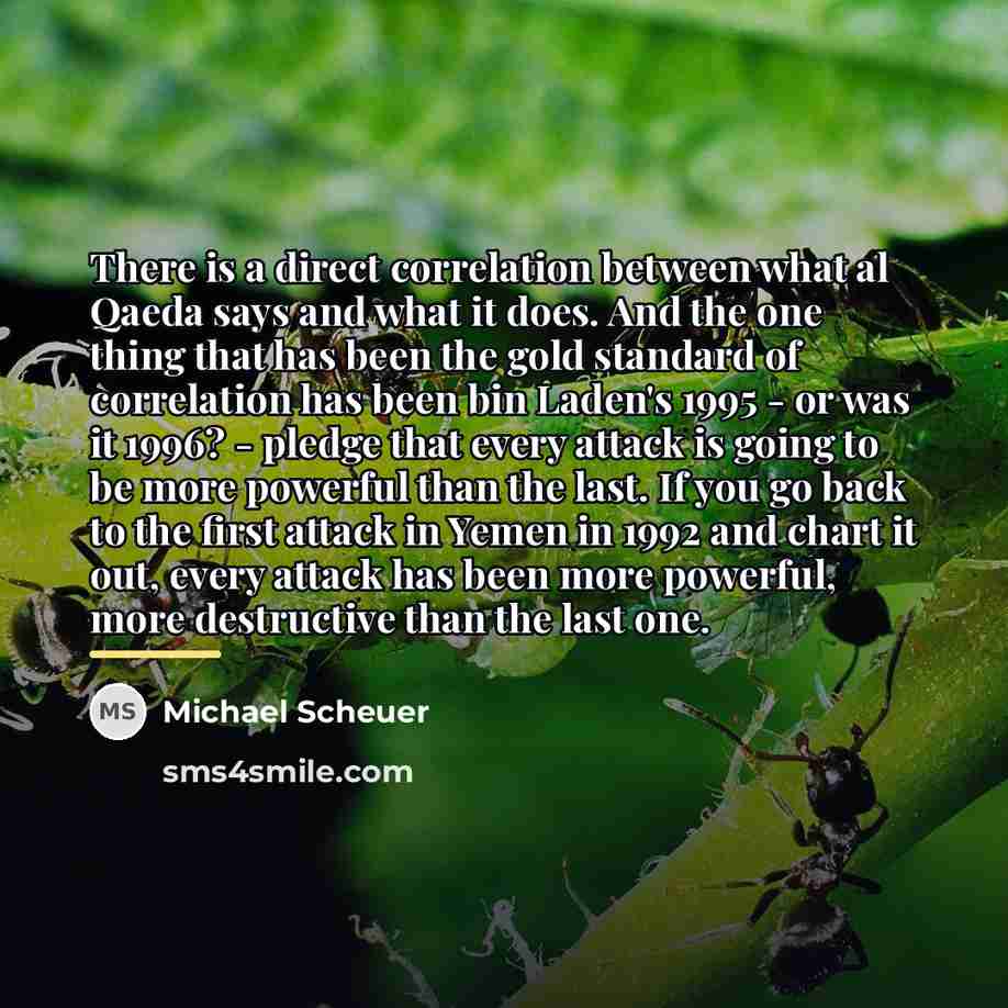 “There is a direct correlation between what al Qaeda says…” quote by Michael Scheuer
