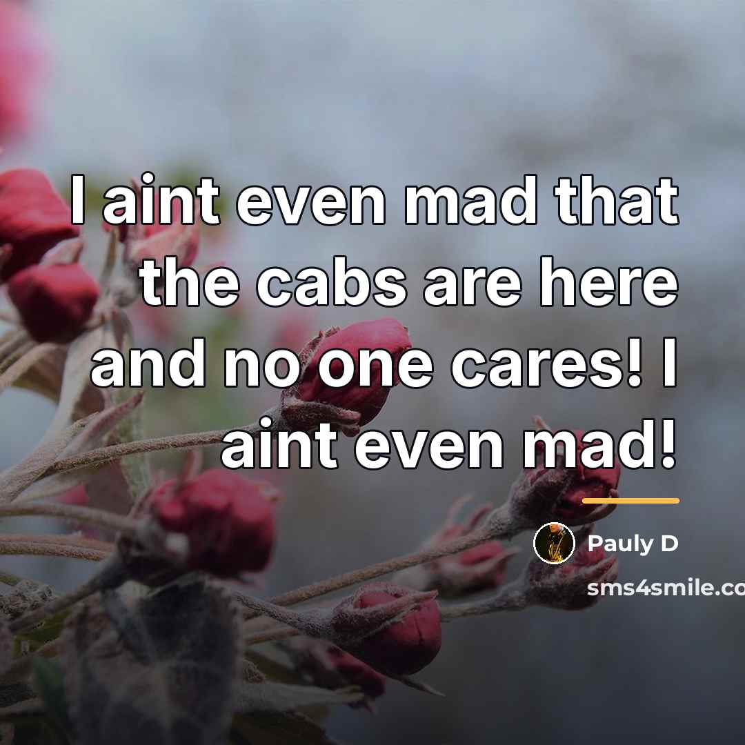 “I aint even mad that the cabs are here and…” quote by Pauly D