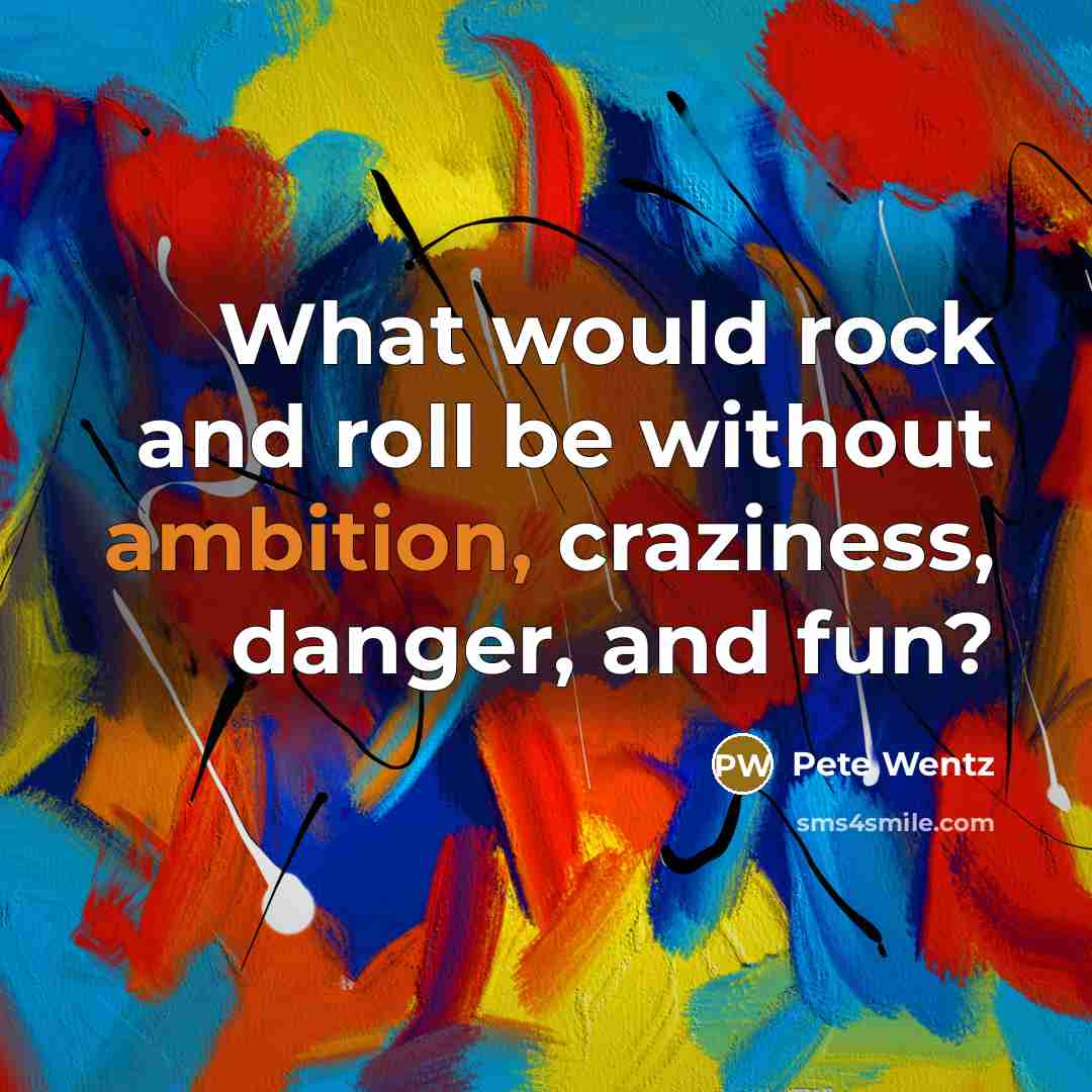 “What would rock and roll be without ambition, craziness, danger,…” quote by Pete Wentz