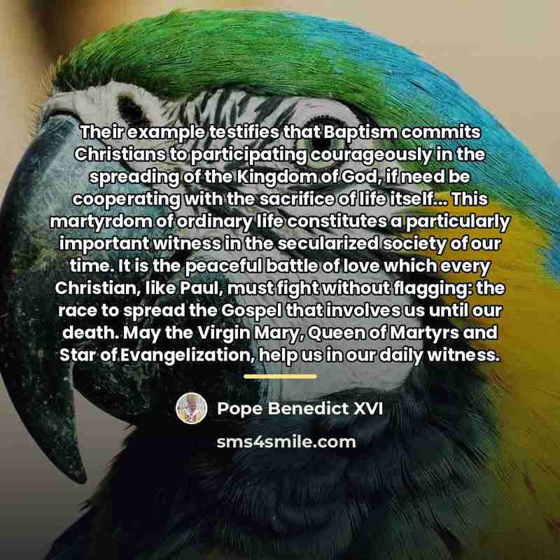 “Their example testifies that Baptism commits Christians to participating courageously…” quote by Pope Benedict XVI