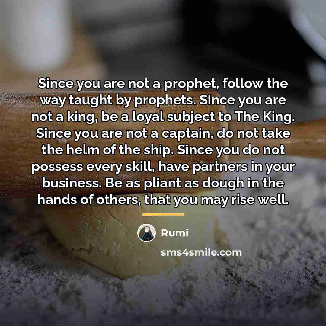 “Since you are not a prophet, follow the way taught…” quote by Rumi