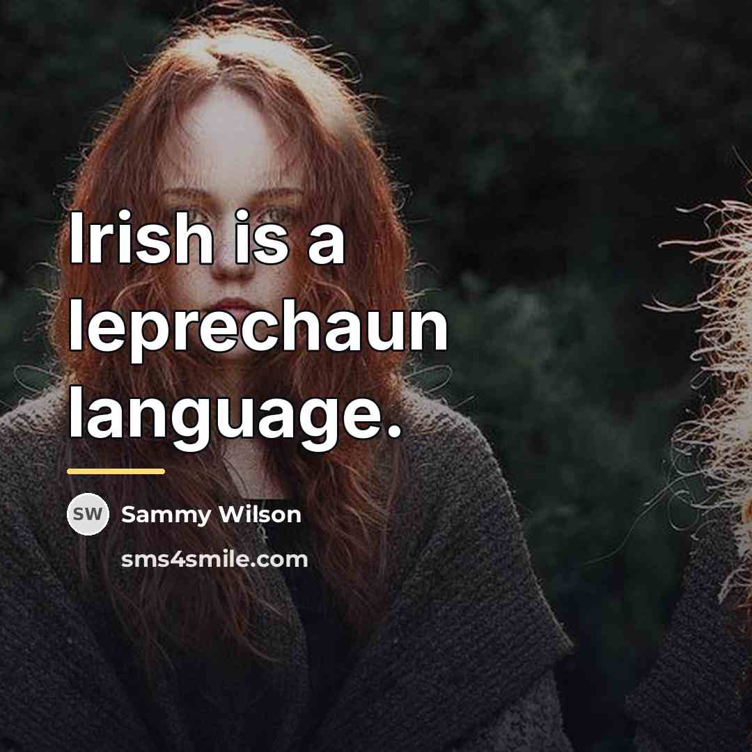 “Irish is a leprechaun language.…” quote by Sammy Wilson