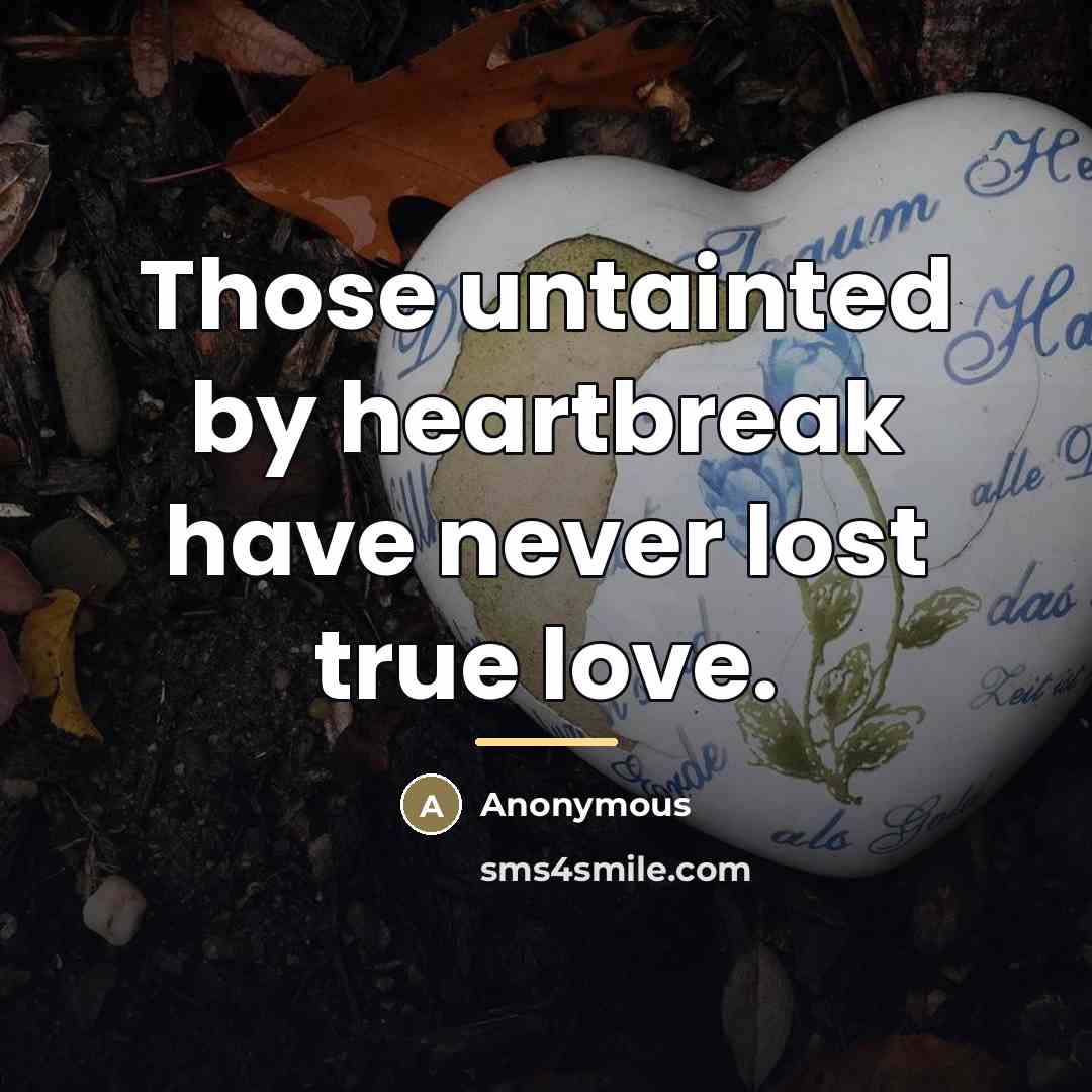 “Those untainted by heartbreak have never lost true love.…” quote by Anonymous