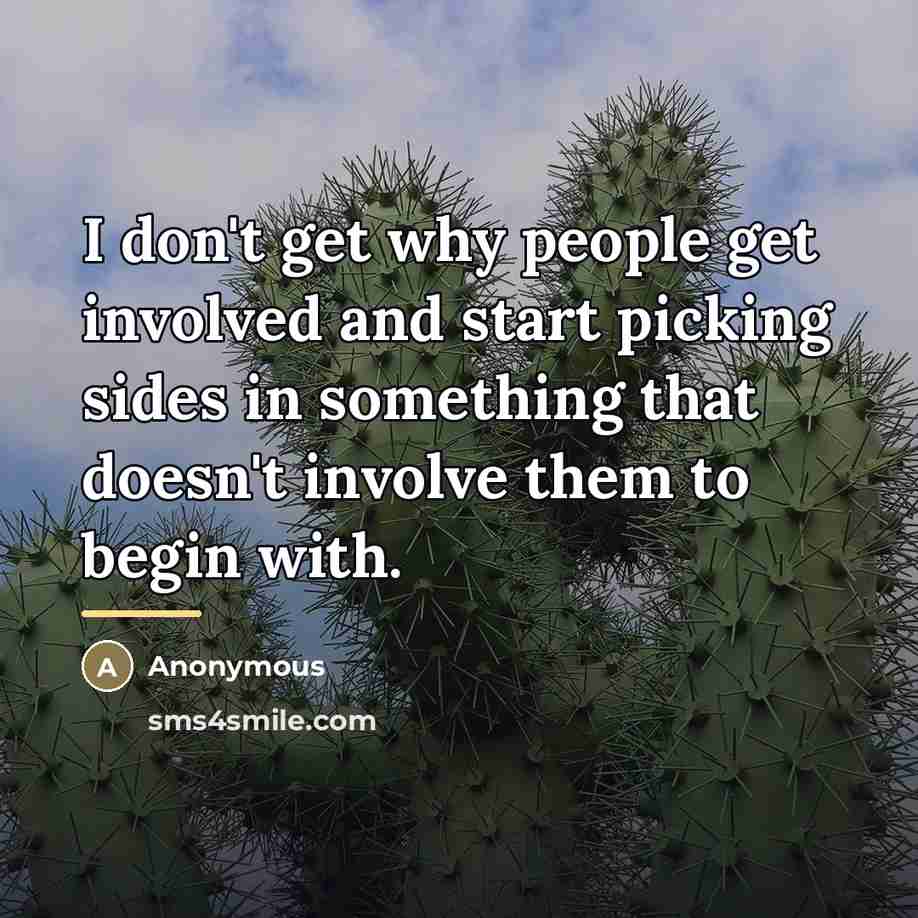 “I don't get why people get involved and start picking…” quote by Anonymous