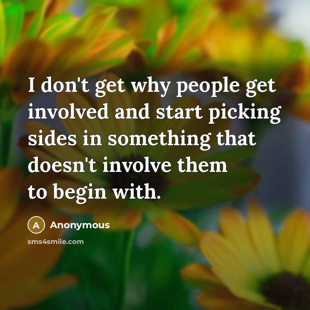 “I don't get why people get involved and start picking sides in something that doesn't involve them to begin with.” quote by Anonymous
