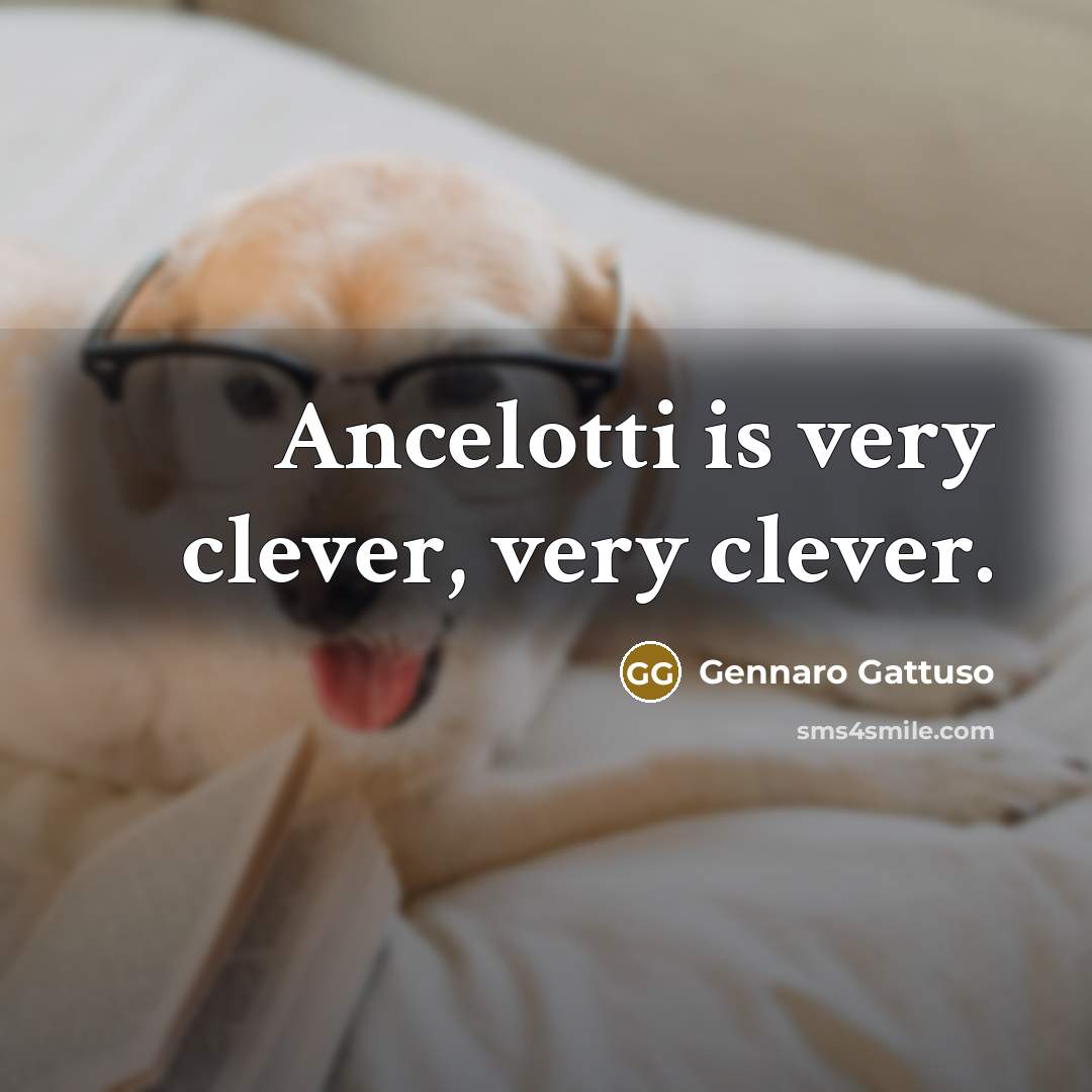 “Ancelotti is very clever, very clever.…” quote by Gennaro Gattuso