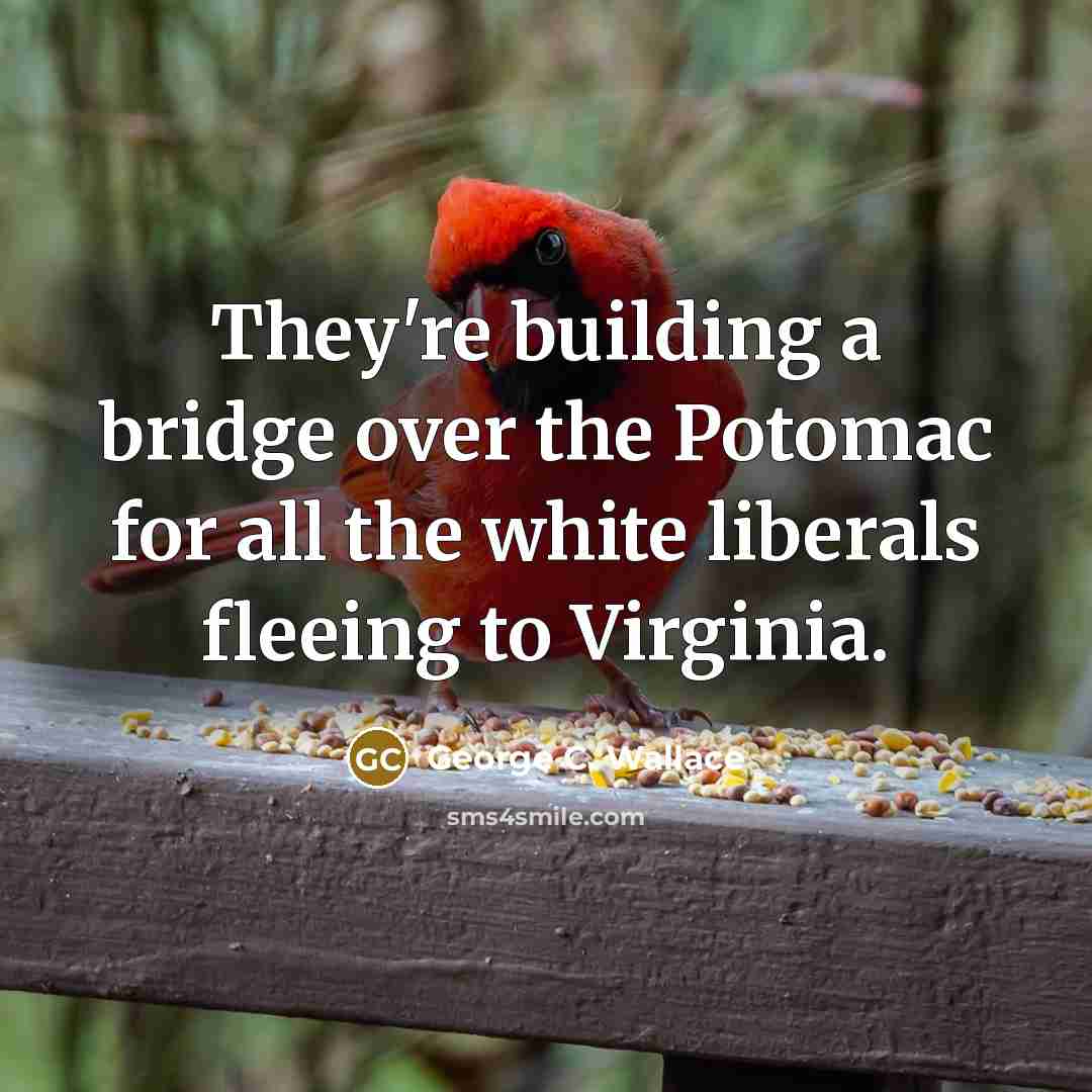 “They're building a bridge over the Potomac for all the…” quote by George C. Wallace
