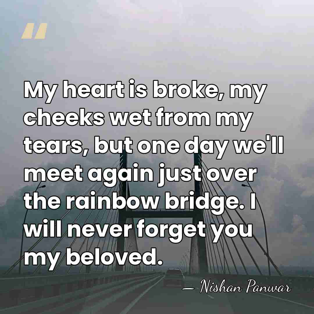 My heart is broke, my cheeks wet from my tears, but one&hellip; - Nishan Panwar