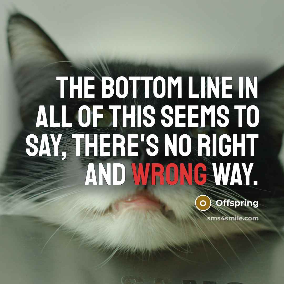 “The bottom line in all of this seems to say,…” quote by Offspring