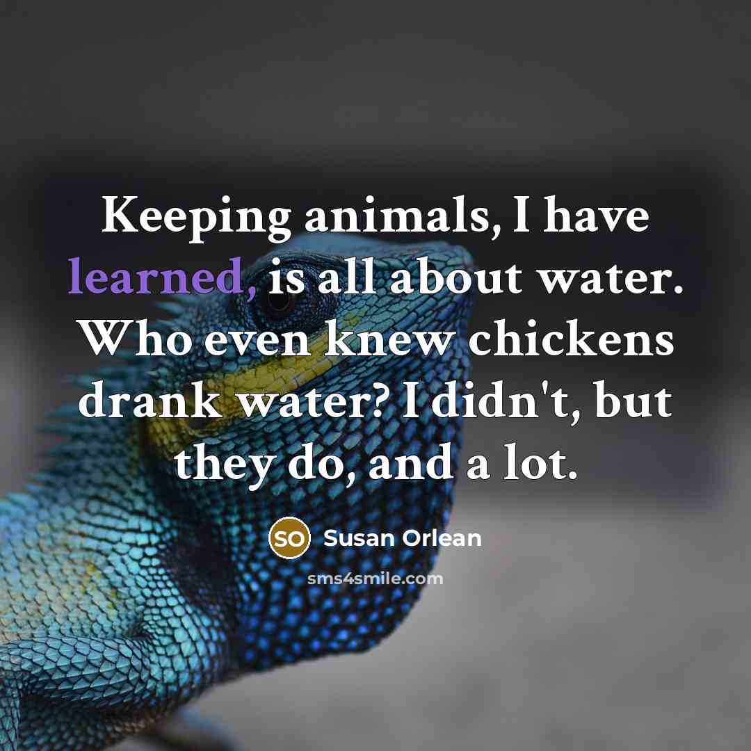 “Keeping animals, I have learned, is all about water. Who…” quote by Susan Orlean