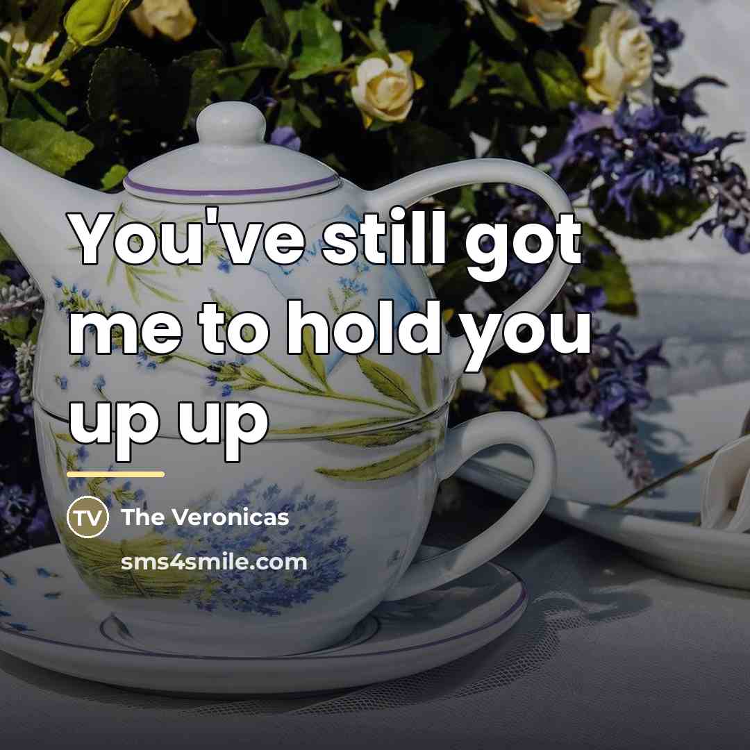“You've still got me to hold you up up…” quote by The Veronicas