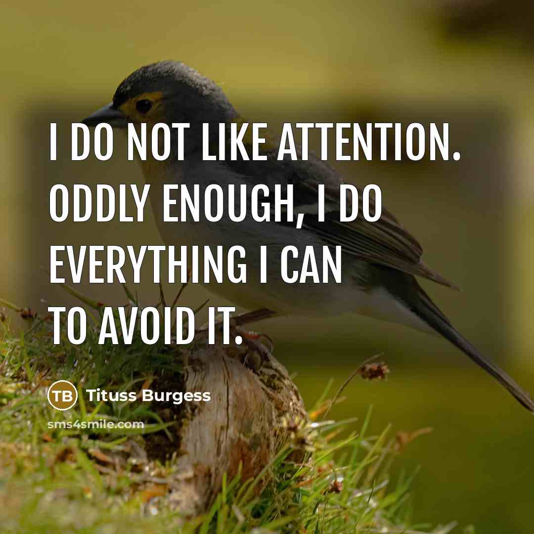 “I do not like attention. Oddly enough, I do everything…” quote by Tituss Burgess