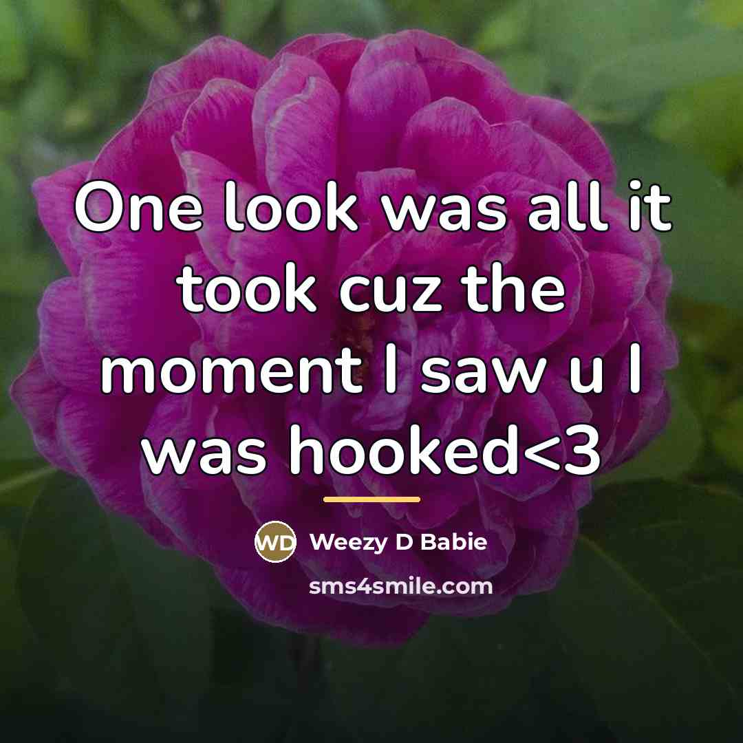 “One look was all it took cuz the moment I…” quote by Weezy D Babie