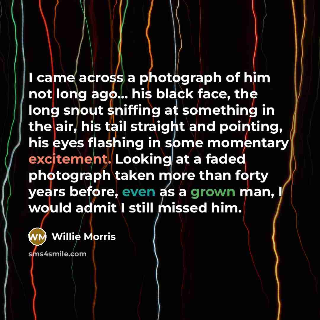 “I came across a photograph of him not long ago...…” quote by Willie Morris