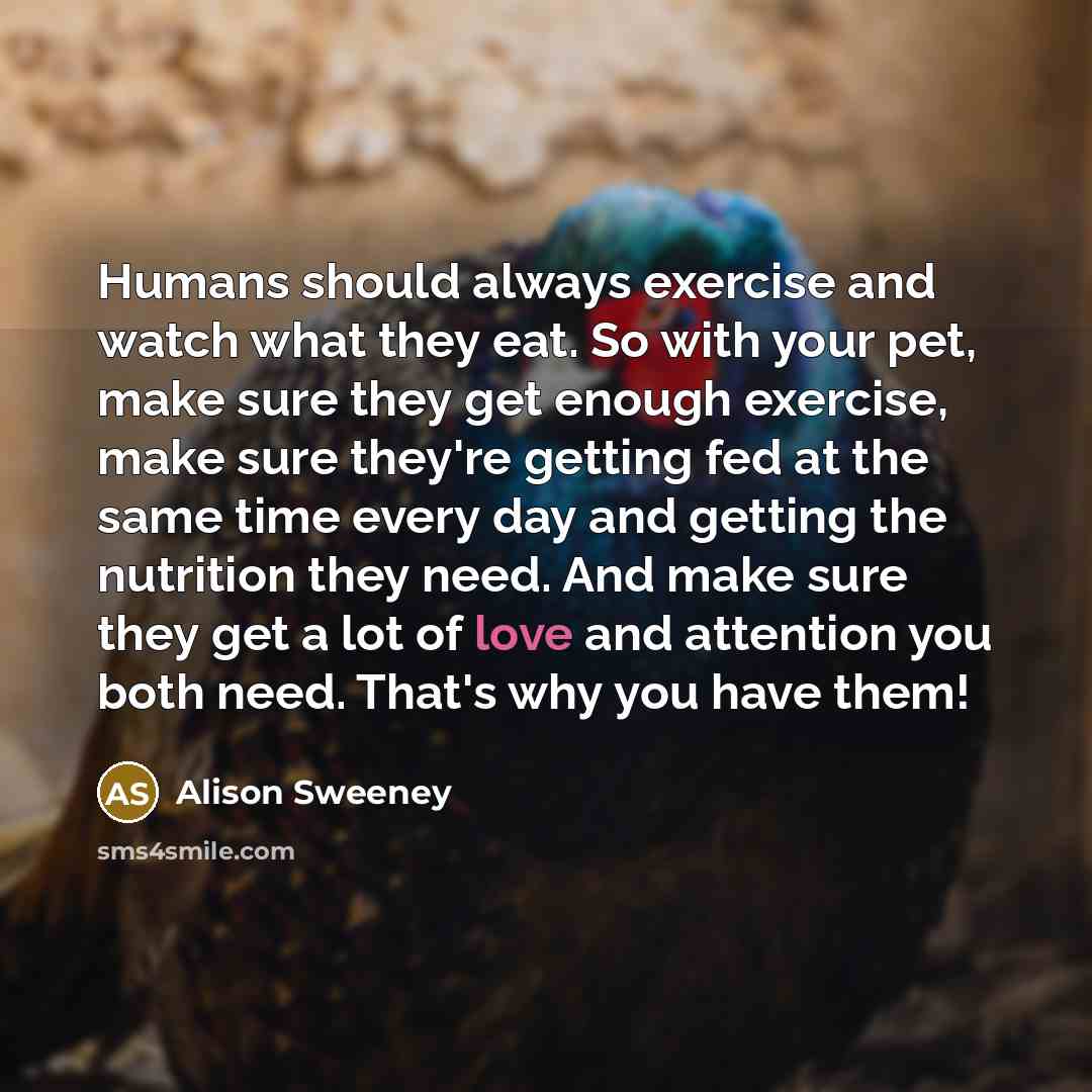 “Humans should always exercise and watch what they eat. So with your pet, make sure they get enough exercise, make sure they're getting fed at the same time every day and getting the nutrition they need. And make sure they get a lot of love and attention you both need. That's why you have them!” quote by Alison Sweeney