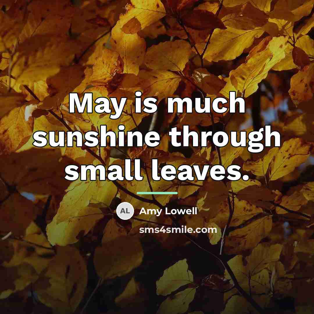 “May is much sunshine through small leaves.…” quote by Amy Lowell