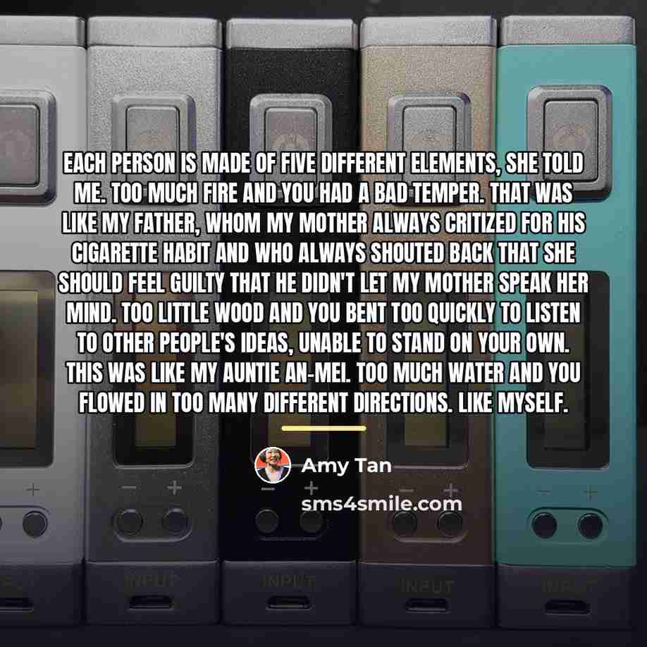 “Each person is made of five different elements, she told…” quote by Amy Tan