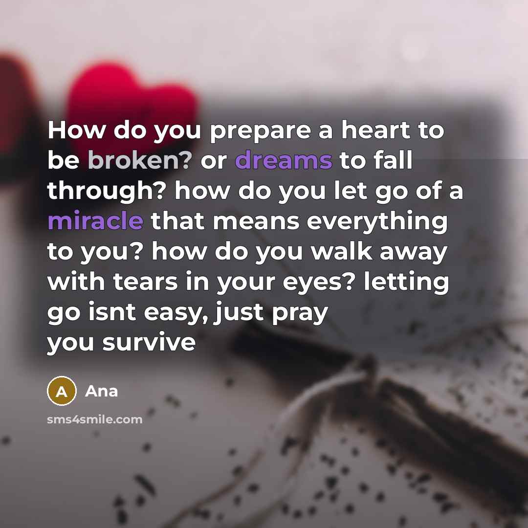 “How do you prepare a heart to be broken? or dreams to fall through? how do you let go of a miracle that means everything to you? how do you walk away with tears in your eyes? letting go isnt easy, just pray you survive” quote by Ana