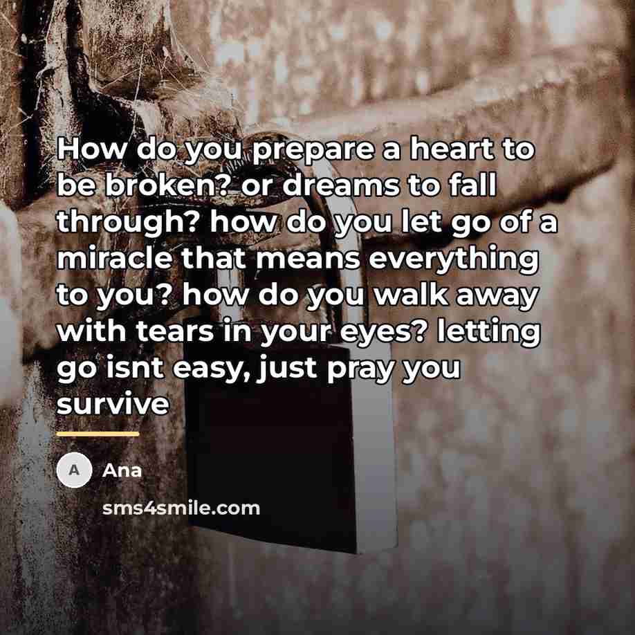 “How do you prepare a heart to be broken? or…” quote by Ana