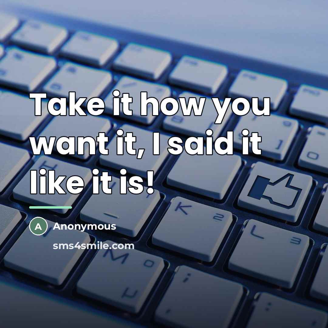 “Take it how you want it, I said it like…” quote by Anonymous