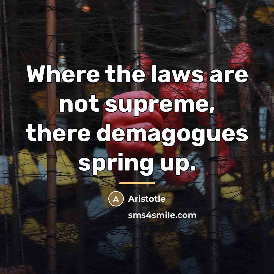 “Where the laws are not supreme, there demagogues spring up.…” quote by Aristotle