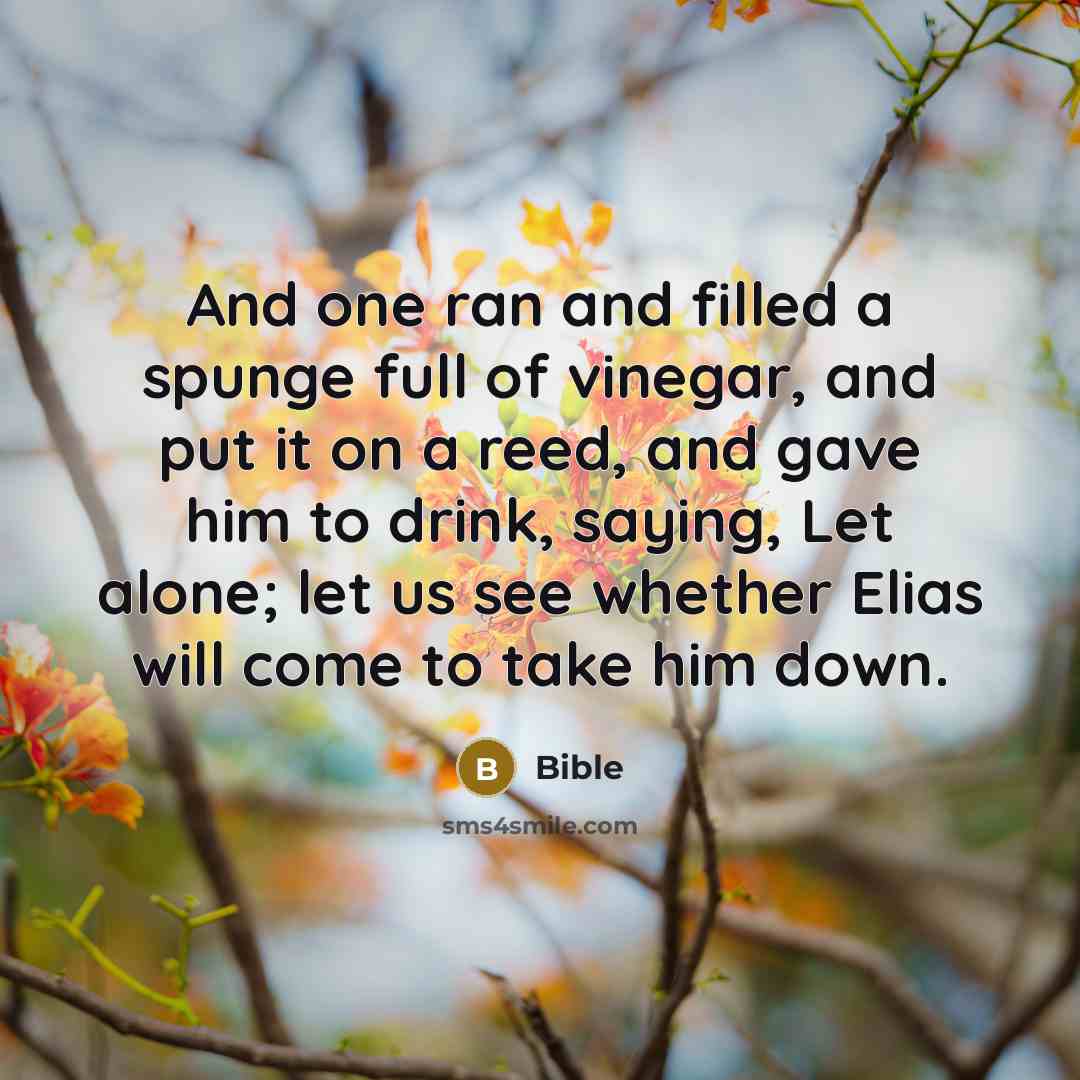 “And one ran and filled a spunge full of vinegar,…” quote by Bible