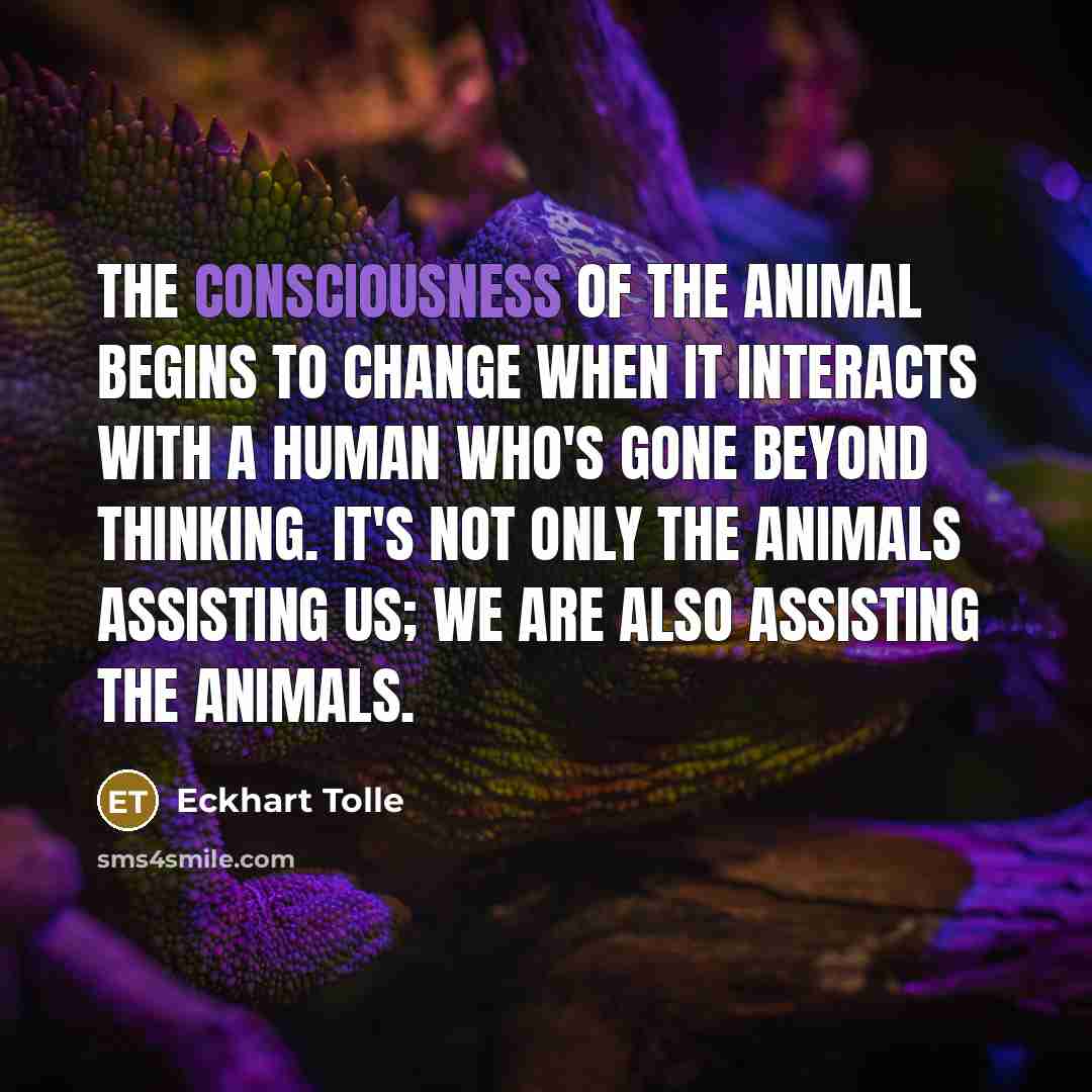 “The consciousness of the animal begins to change when it…” quote by Eckhart Tolle